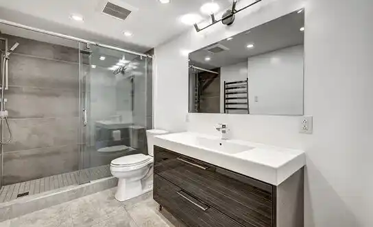 bathroom services Pleasanton